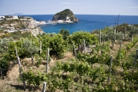il primo sole di primavera - Albergo Villa Mario a Serrara Fontana (NA) vacanze per celiaci il primo sole di primavera